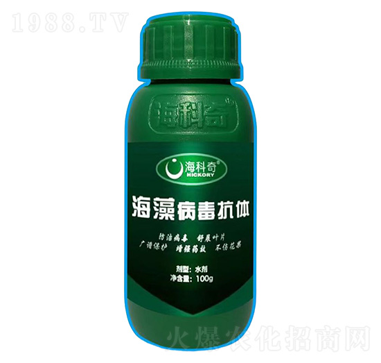 ���岡�����w-������