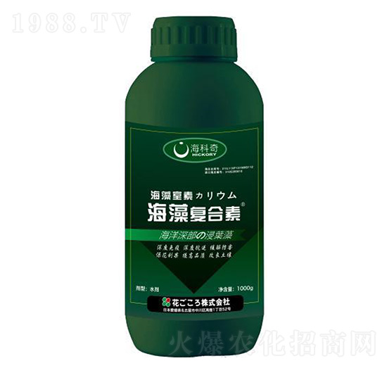 �����(f��)����-������