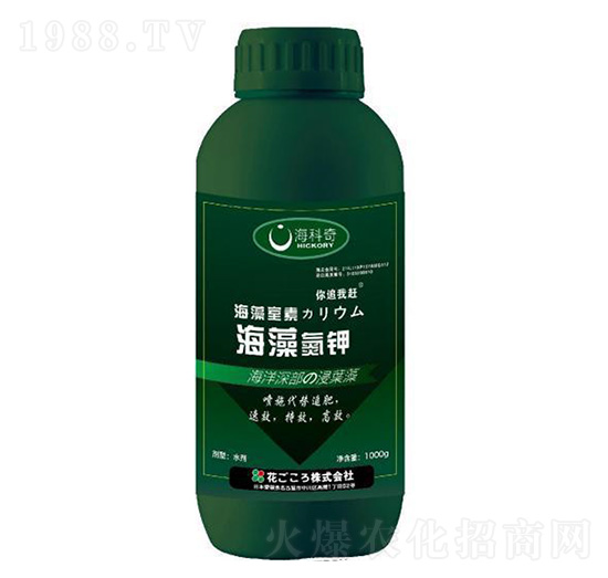 ���嵪�-������