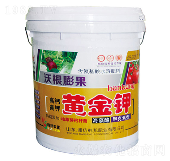 ���}������S���-�ָ����-�n��-�n��ʘI(y��)