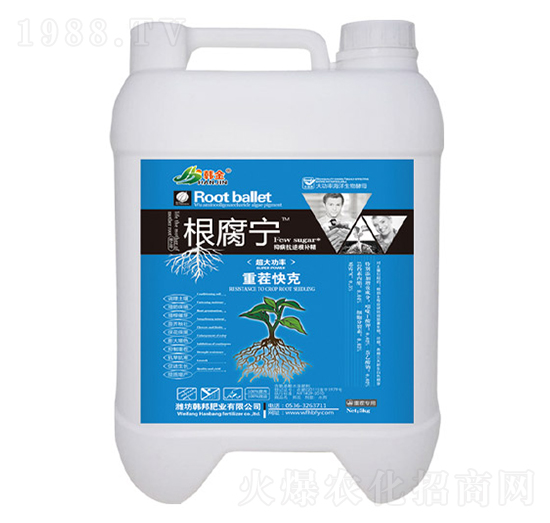 �ز���-������-�n��-�n��ʘI(y��)