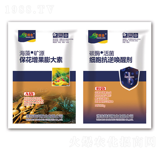 �������������-��(x��)�����憾�ф�-�n��-�n��ʘI(y��)