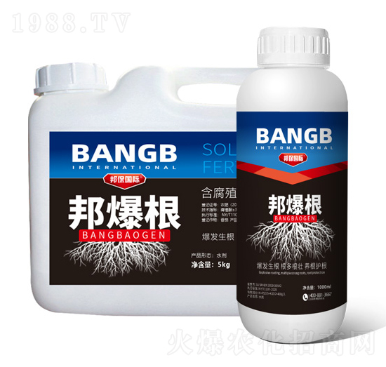 ����ֳ��ˮ�ܷ���-���-���(gu��)�H