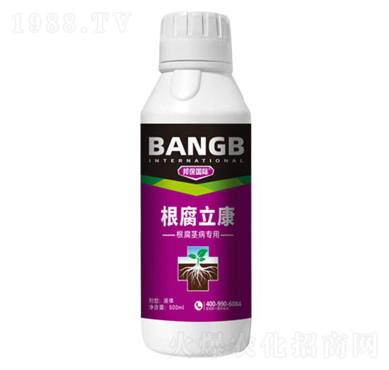 �����o����(zhu��n)��-��������-���(gu��)�H