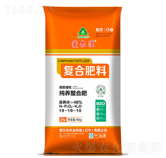 ���B(y��ng)���ϏͺϷ���19-19-10-�۠���