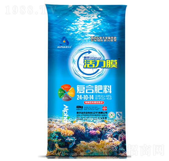 ����Ĥ��(f��)�Ϸ���24-10-14-�۠���