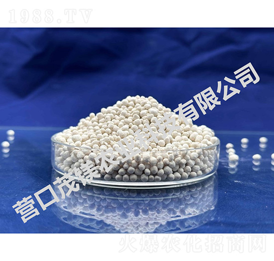 ���V���w��-����-ï�V�r�I(y��)