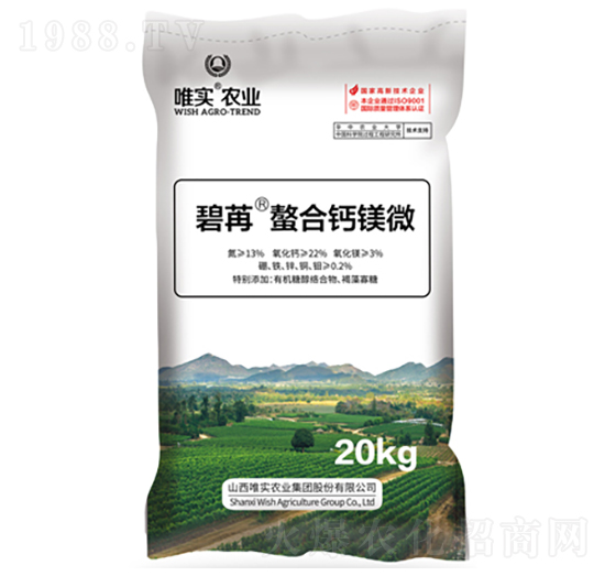 �����}�V΢-����-Ψ��