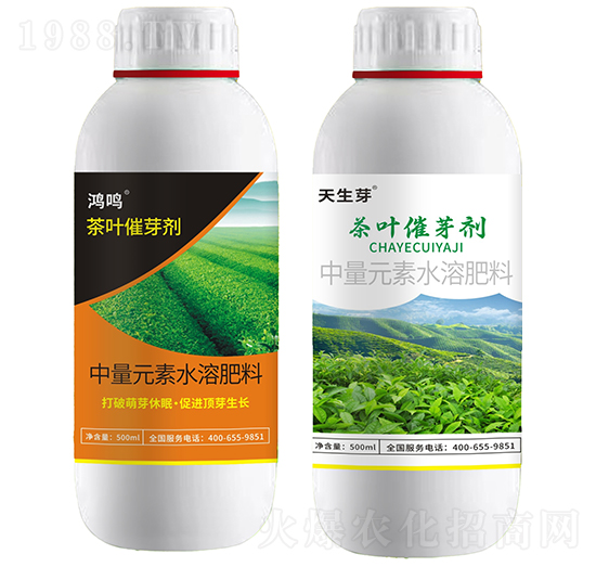 ���~��ѿ��-���Q