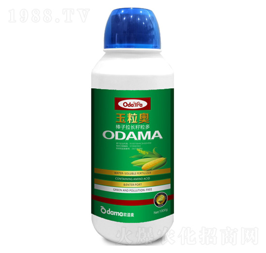 �����W-�������L(zh��ng)������-�W����