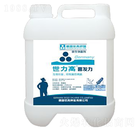 �ݲ�ѿ�ߗU������-���l(f��)��-����������