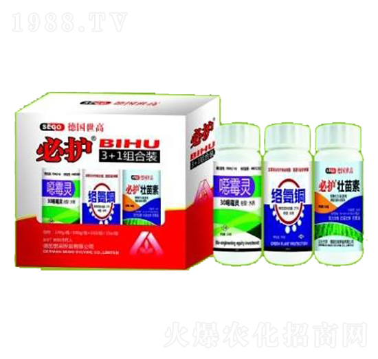 ���o(h��)���ݽM��-����������