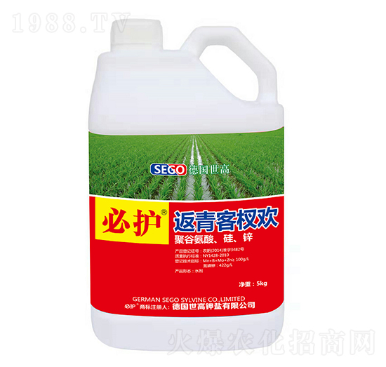 �����辚g-���o-����������