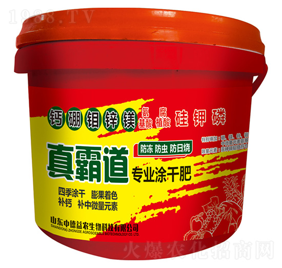 ��Ե����I(y��)Ϳ�ɷ�-�е����r(n��ng)