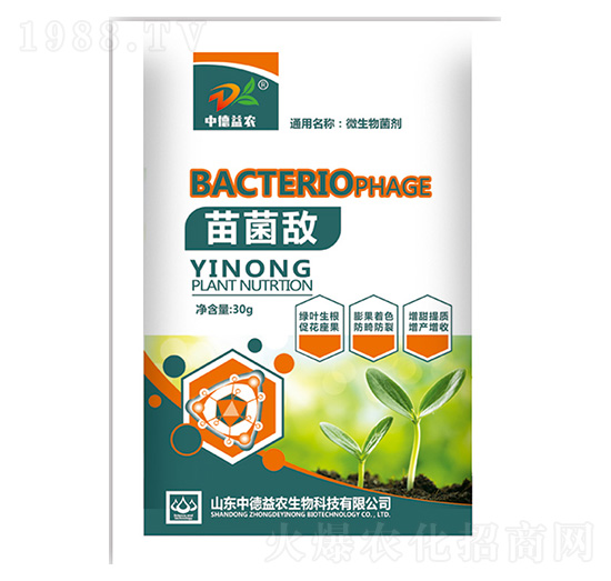 ΢�������-�����-�е����r(n��ng)