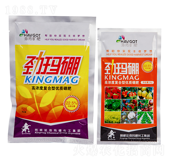 �ߝ�ȏ�(f��)���̓�(y��u)�|(zh��)���-�Ŭ���-����