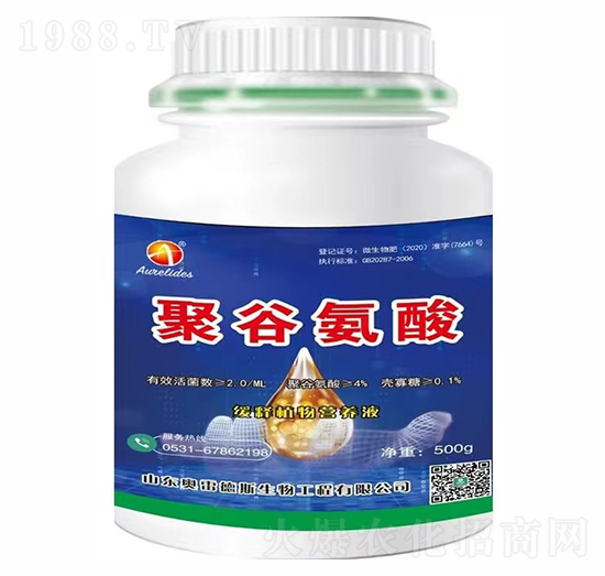 �۹Ȱ���-�W�׵�˹