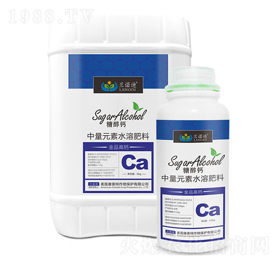 �Ǵ��}-�m�Z��-������