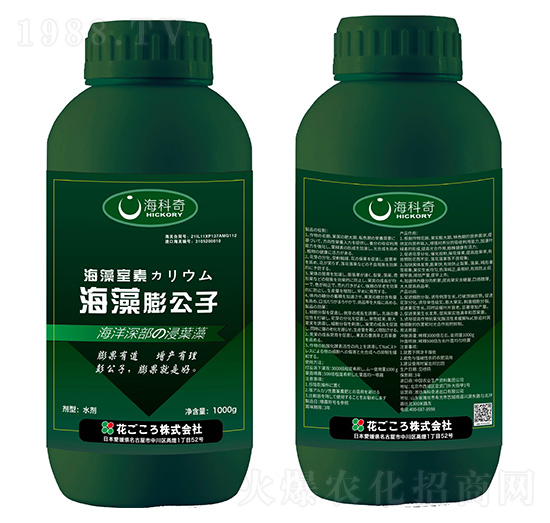 ��������-������