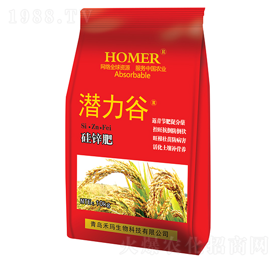 ���Թ��\��-������-�̬�����