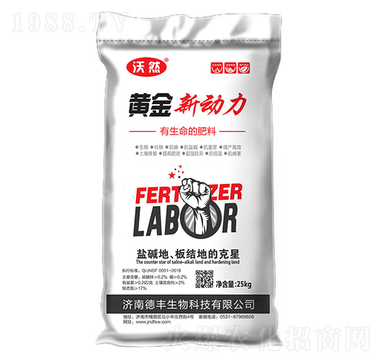 �S������-���S