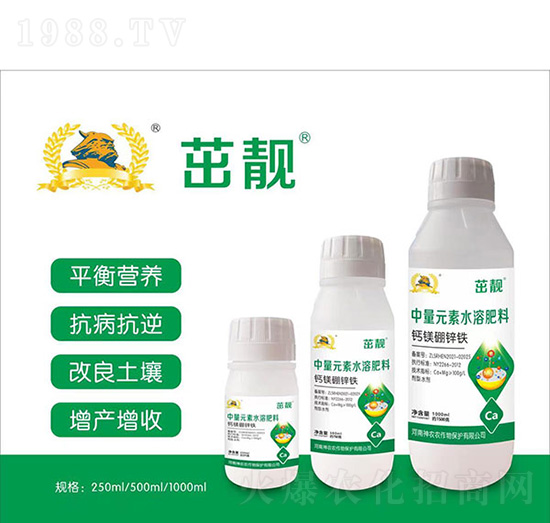 �}�V���\�F-�������r(n��ng)