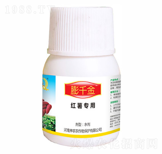 ��ǧ�𣨼t�팣(zhu��n)�ã�-�������r(n��ng)