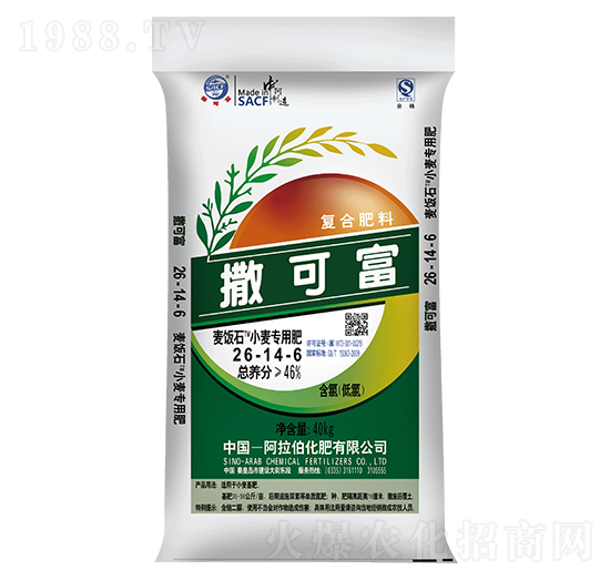 С����(zhu��n)�÷�26-14-6-���ʯ-���ɸ�-����������