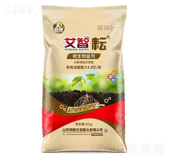 С������LЧ��΢�������-���Ǹ�-�J��