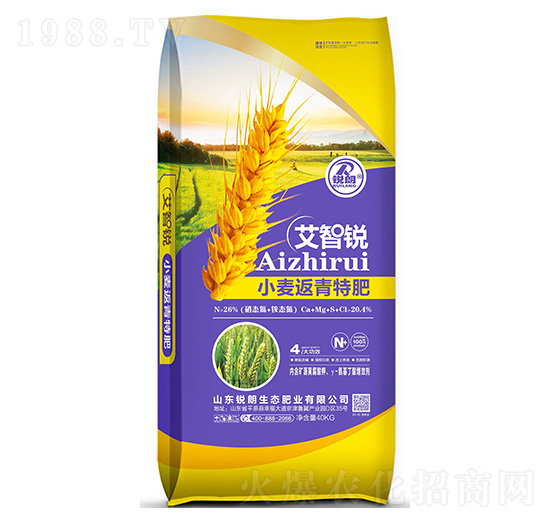 С�������طʰ����J-�J��