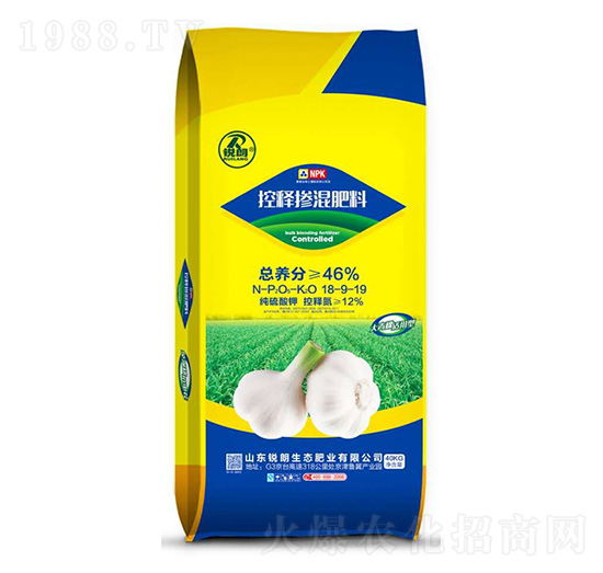 �����ጓ������18-9-19-�J��