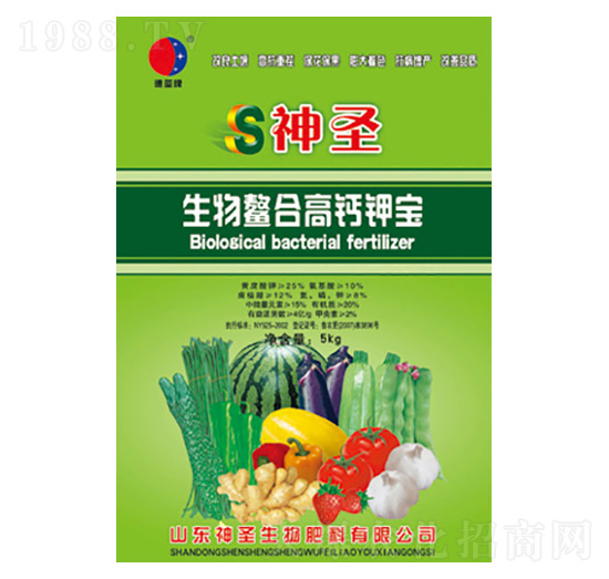 �������ϸ��}⛌�-��ʥ����