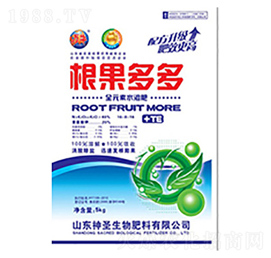 ������ࣨ�����棩-��ʥ����