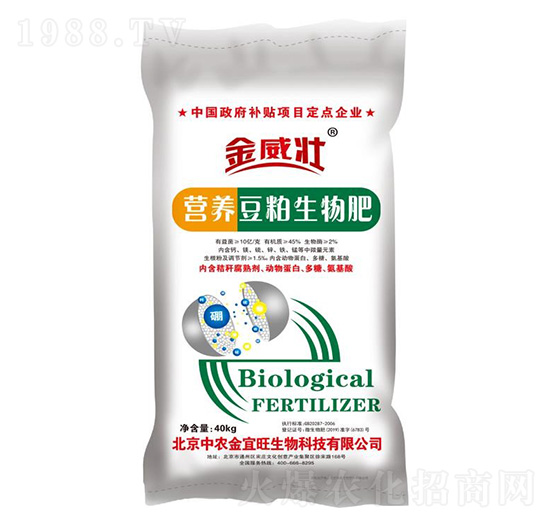 �I�B(y��ng)���������-������-��ʥ����