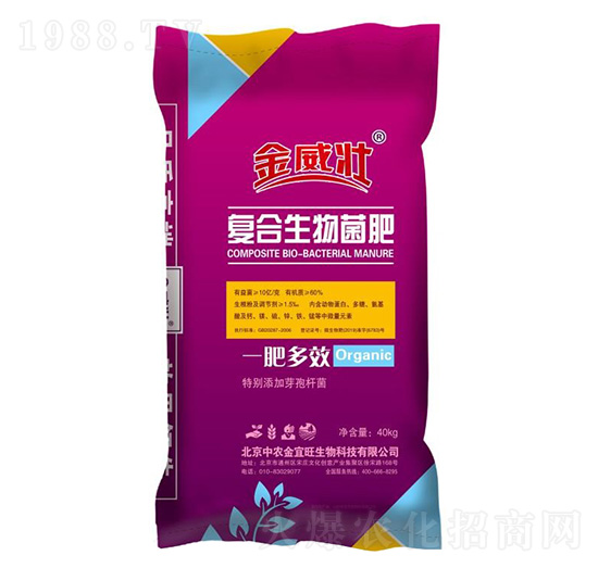 ��(f��)��΢�������-������-��ʥ����