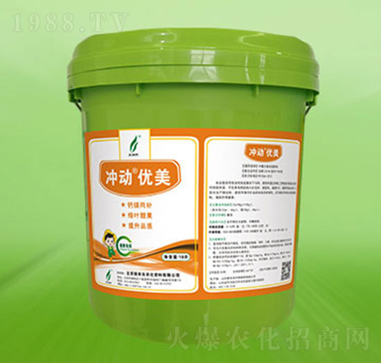 Ͱ�b�_�Ӄ�(y��u)��-�º��S