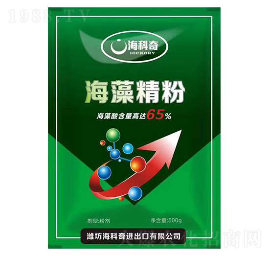 ���徫��-������