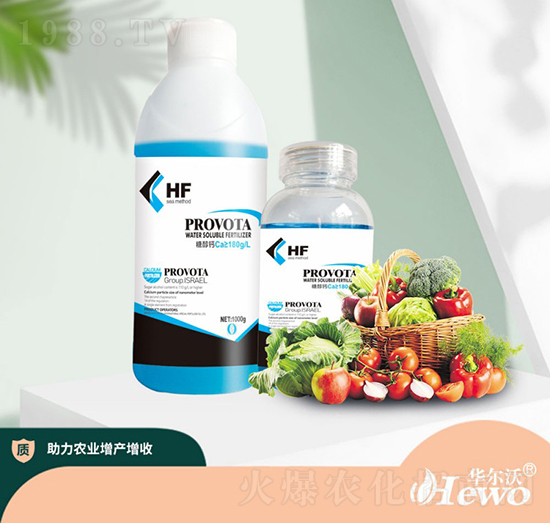 �Ǵ��}-����-�A����