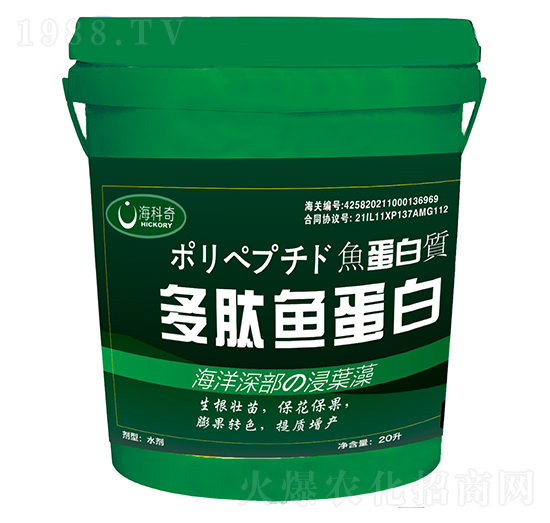 �����~����-������