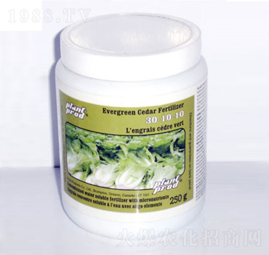 �ߵ���30-10-10-���_��-�������r�Q