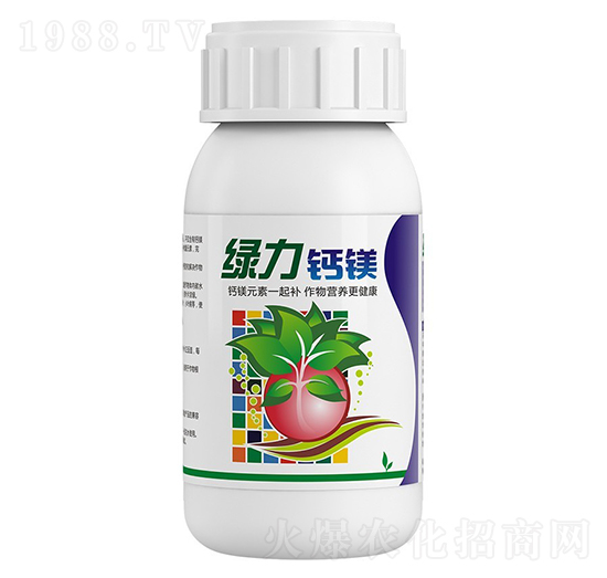 �G�����}�V-�����ط�