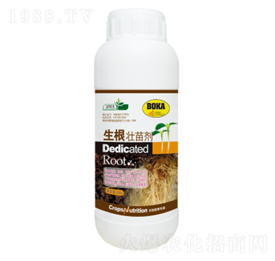 �������焩-�|���S