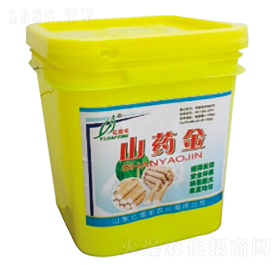 ɽˎ��-�|���S