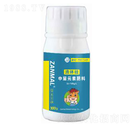 ����Ԫ��-���w��300g-ٝ��