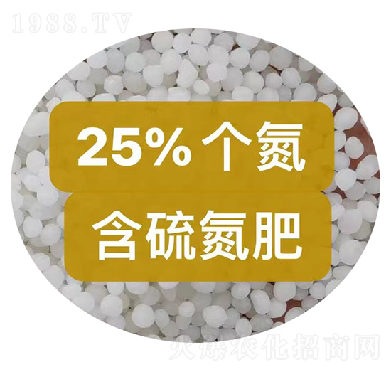 25%���򵪷��w��-���r�r�Y
