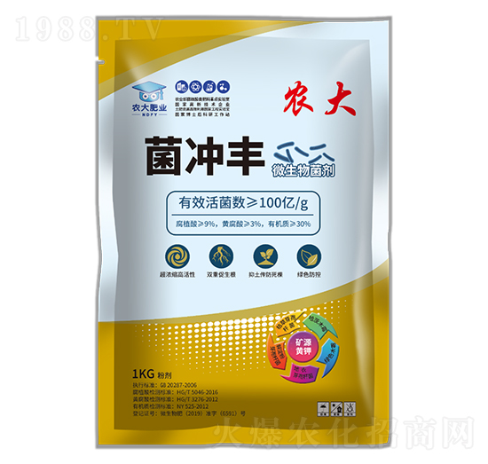 ���������ϵ��-���_�S-�r�����B(t��i)