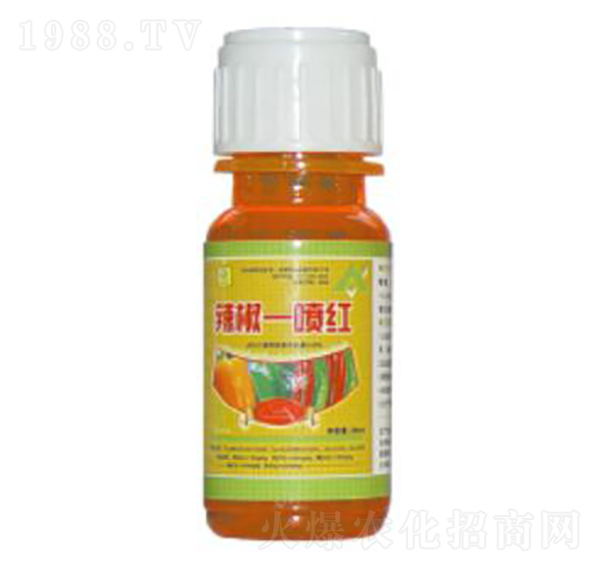 ����һ���t-��������