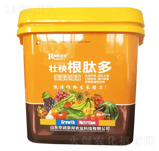 �������Ķຣ���sҺ-��(r��n)��փ�(y��u)-�A��(r��n)�s��