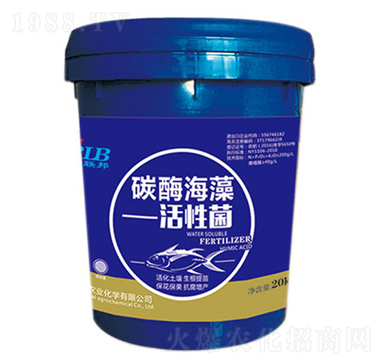 ̼ø������Ծ�-�A���s��