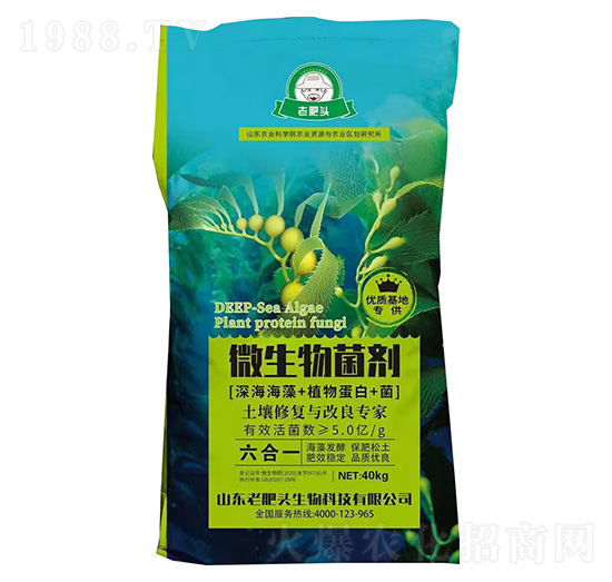 ΢�������[�����+ֲ�ﵰ��+��]-�Ϸ��^